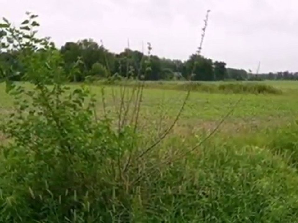 Homes for Sale - 0 150 West - Chesterton, IN 46304 - Coldwel