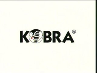 Teknosay KOBRA CYCLONE KASIRGA Evrak İmha Makinası