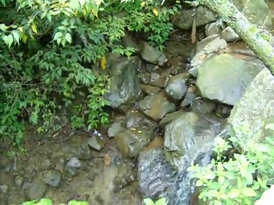 inde 2010 rewalsar lake