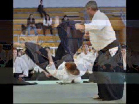 AIKIDO EPA ISTA - VILLEFRANCHE SUR SAONE 2010