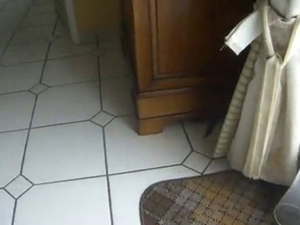 Lena et Bella sortie2