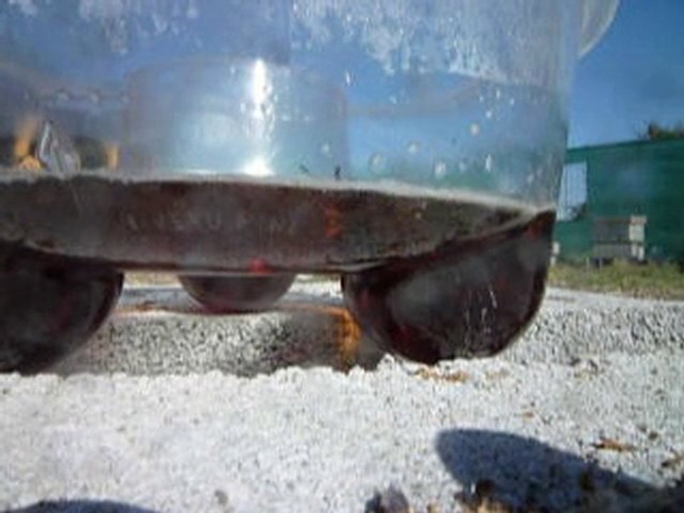 LA SOLUTION POUR LE FRELON ASIATIQUE !!!!!!!!!!!!!!!