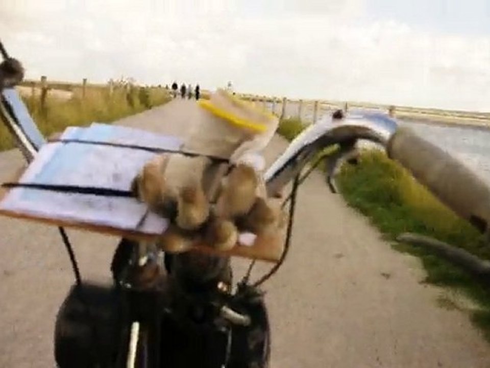 Solex en baie de somme