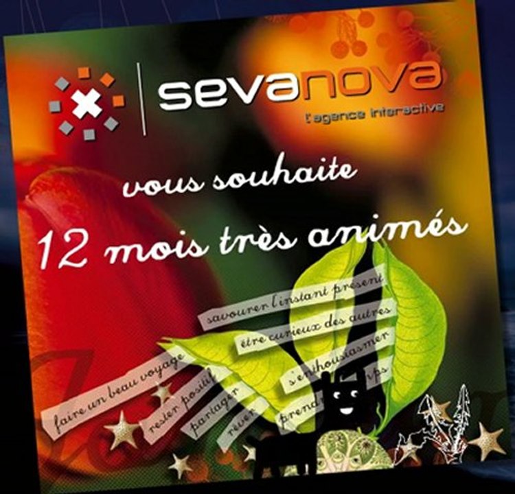 Sevanova voeux 2007