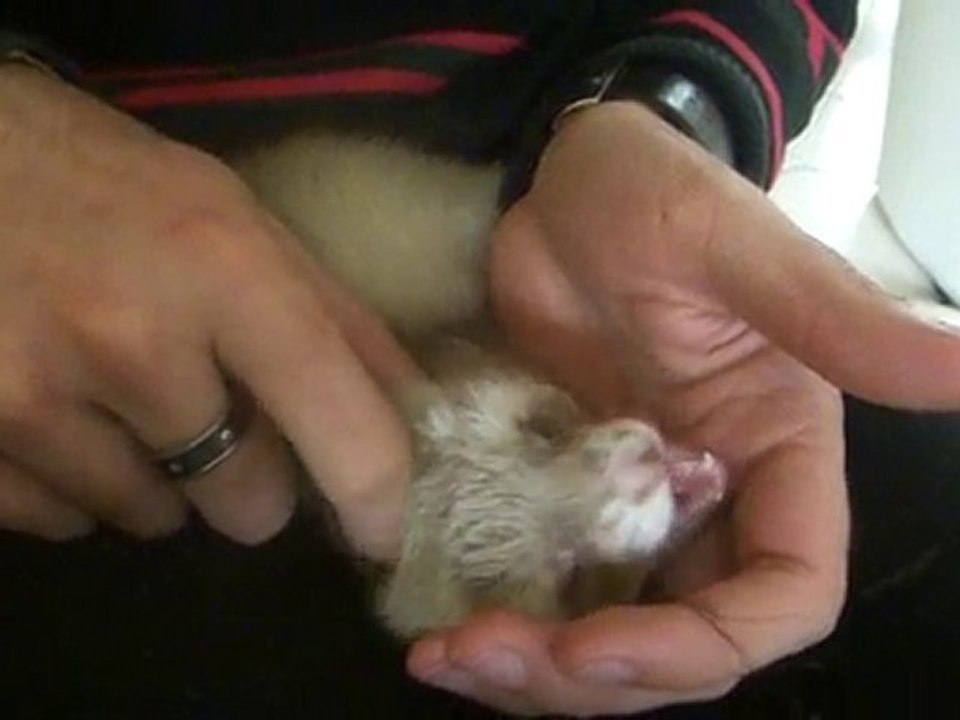 Léchouilles à mon homme