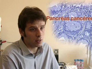 Pierre Cordelier (Inserm U858 / UPS)