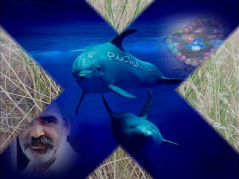 Mon film pour un ami du sud du maroc