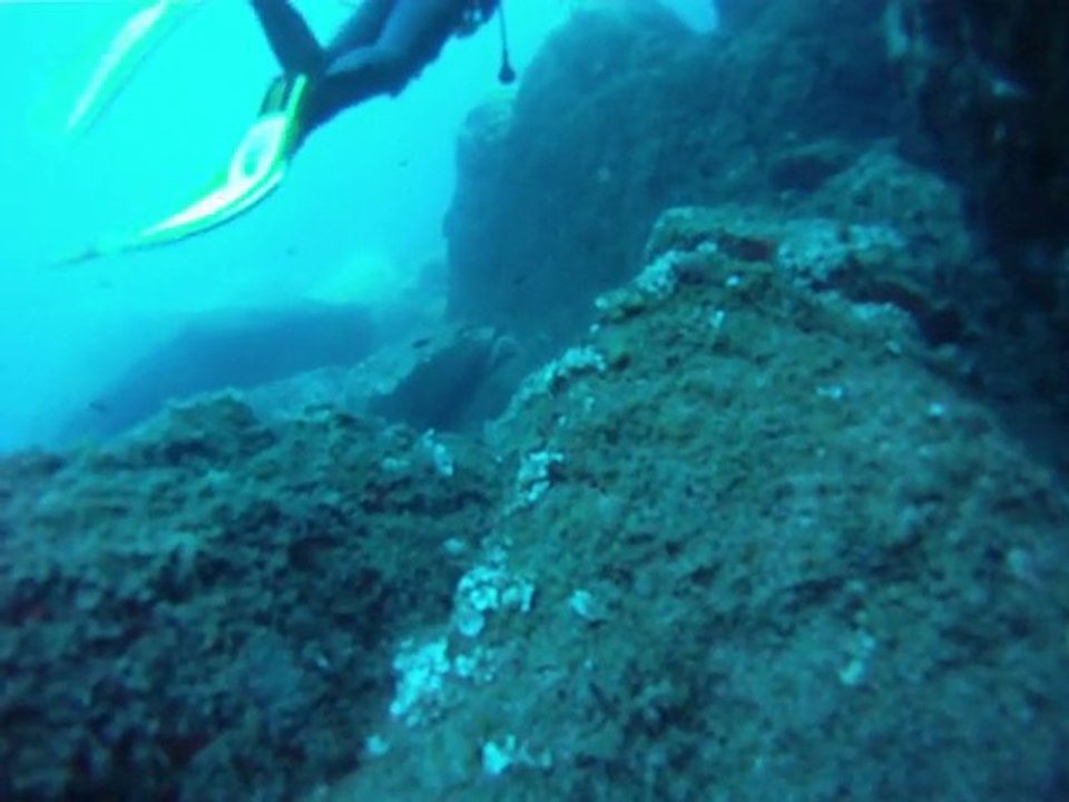 Fin plongée ¨Porquerolles