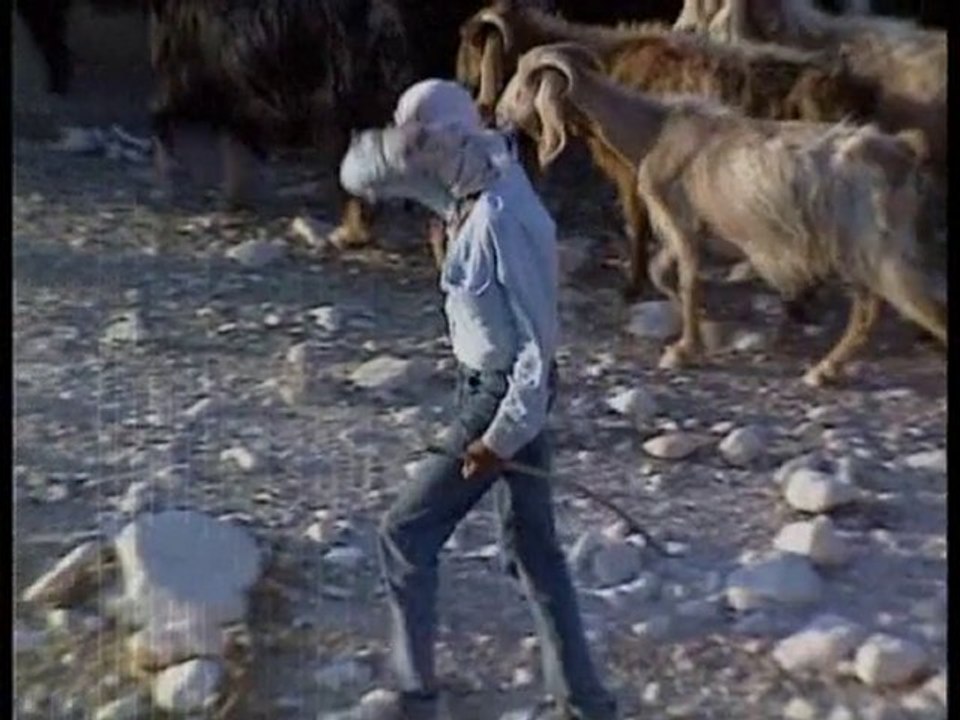 Archéologie - Manuscrits de la mer morte