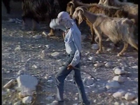 Archéologie - Manuscrits de la mer morte