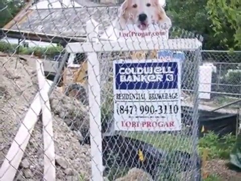 Homes for Sale - 130 Whitebridge Ln - Winnetka, IL 60093 - C