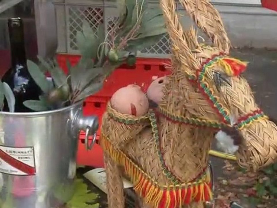 Sonnenblumenfest büderich 2010