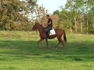 ulyssia du moulin et moi