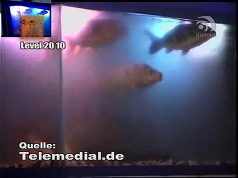 Kanal Telemedial - Big Fish 29 - April 22, 2010