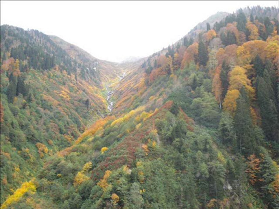 çamlıhemşin yaylaları-10-tulum-WWW.KAVRUN.TR.GG