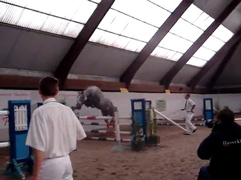 Calista à Moorsele (saut en liberté 2 ans)