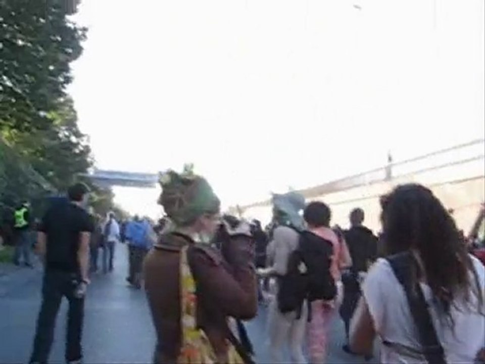 Praha Youth Pushing Up Some Daisies