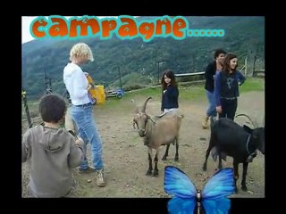 la bergerie , ville de pietrabugno