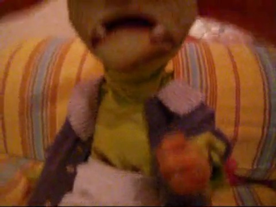 Murphy Magical Tour 2010 J6