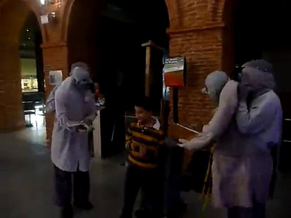 The History Men Museum d'Histoire Naturelle Toulouse Mai2010