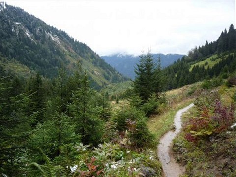 yeni amlakit-remzi bekar-tulum- kavrun.tr.gg