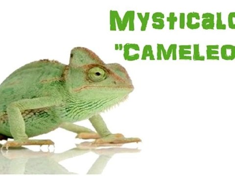 Mysticalove sera sur la mixtape Tls