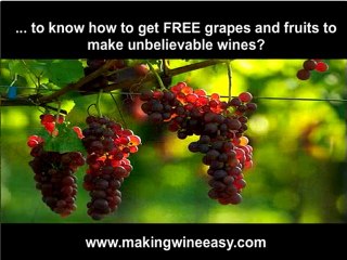 Making Wine - How to Make Wine