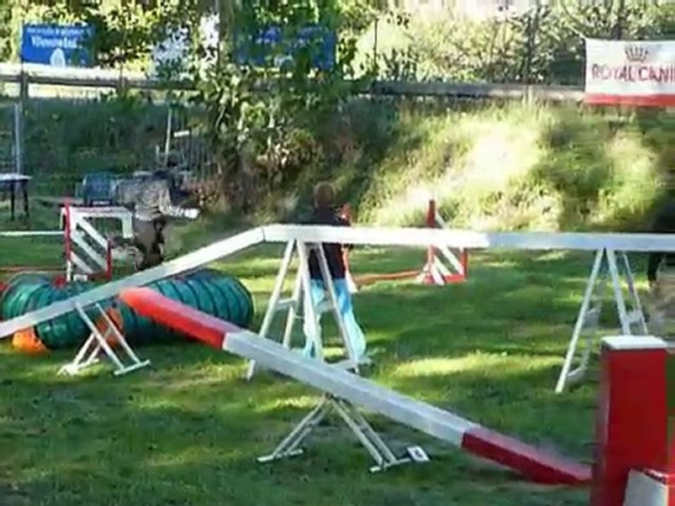 Brownie - Villeneuve Loubet