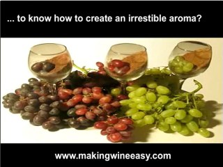 Make Your Own Wine - Making Wine at Home