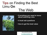Buy Limu - Discover The Best Places To buy Limu Online