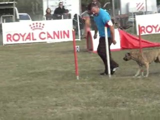 charlie jump st juery