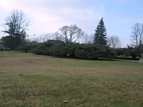 Homes for Sale - 16386 New Ave - Lemont, IL 60439 - Coldwell