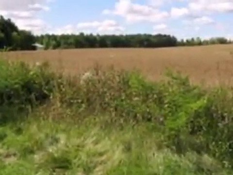 Homes for Sale - 3306 Newman Rd - Racine, WI 53406 - Coldwel