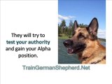 Train Your German Shepherd – How is a German Shepherd Differ