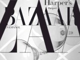 Michelle Westgeest by Benjamin Kanarek in Harper's Bazaar