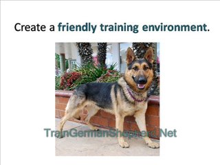 How to Train an Overly Aggressive German Shepherd