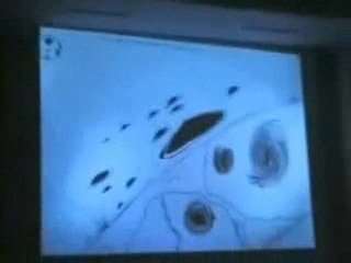 PARTE 4 > SENZA TITOLO - ( Il Futuro è nelle TUE MANI )