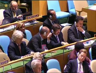 BM İnsan Hakları Konseyi Veri Toplama Misyonu raporu-2