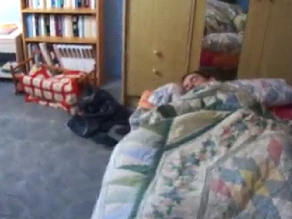 réveille de la soiré du 18 septembre 2010