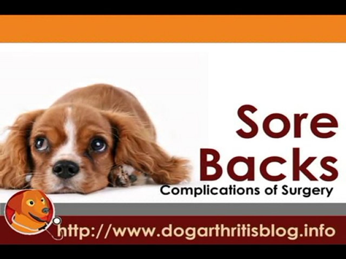 Dog Cruciate (Dog ACL) Surgery Complications Dog Arthritis