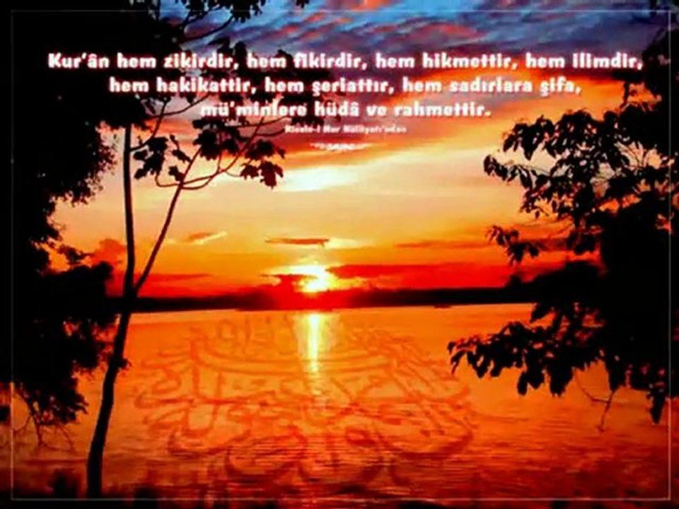 Neylesin