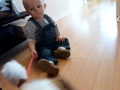 20100923 Romain et le chien de Clara Merignac