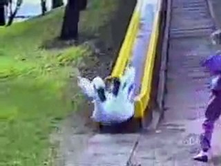 Funny Slide Accidents