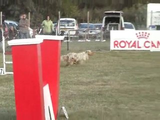 severine et cheyenne jump st juery