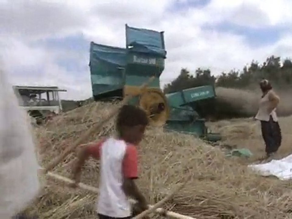 SİTE İÇİN köyde hasat  zamanı patoz yapan köylüler 2009