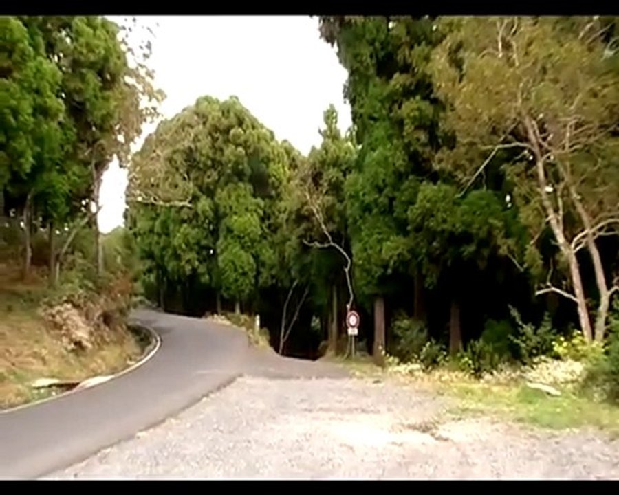 Chemin nature