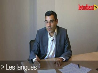 CV et lettre de motivation pour travailler dans le droit