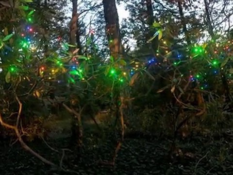 Halloween Lights & Carvable Artificial Pumpkins - Pumpkin Zo