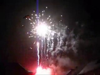 carnaval de naast 2010