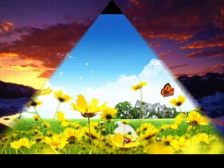 Erol Evgin-Beyaz Yelkenli